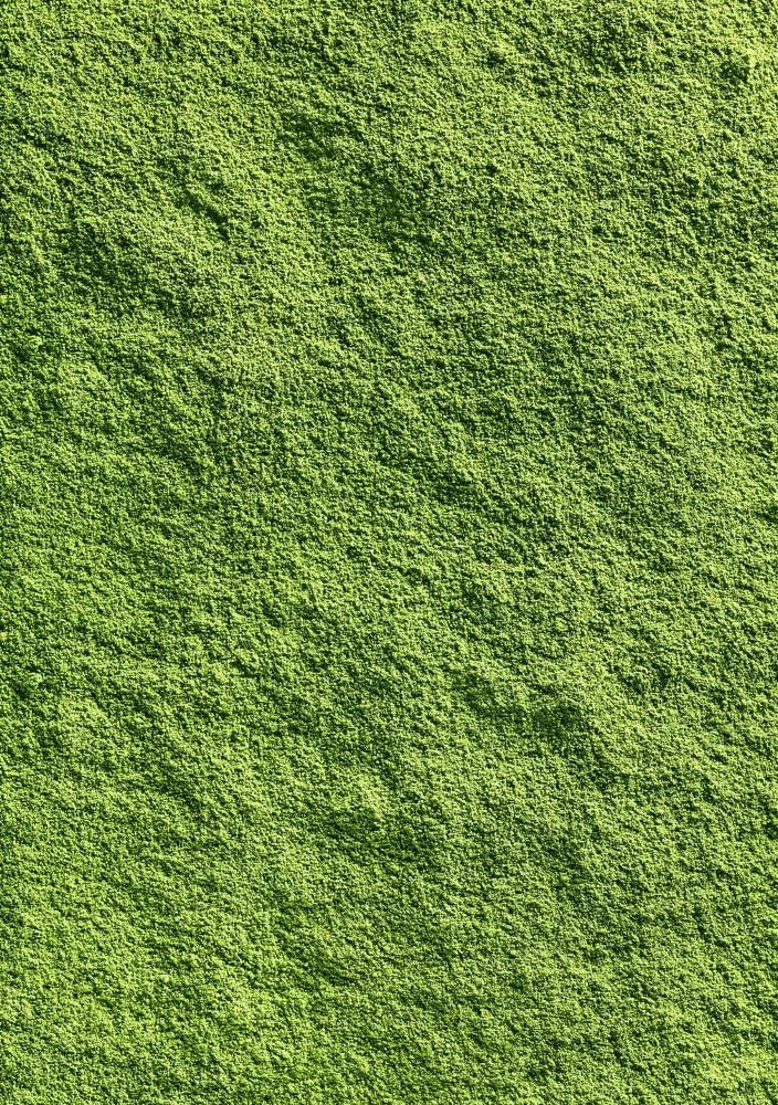 Zoom sur la poudre verte de la Poudre Hyperprotéinée de Day+.