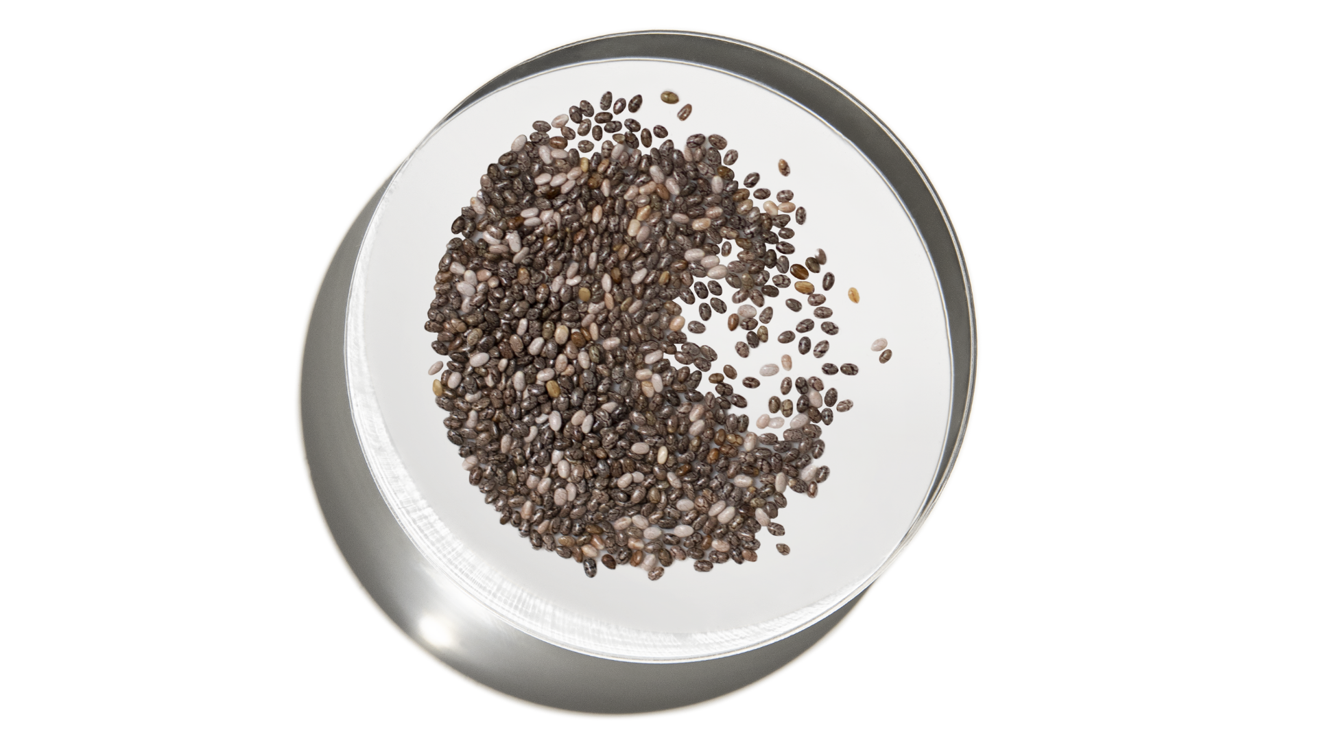 What is Chia?