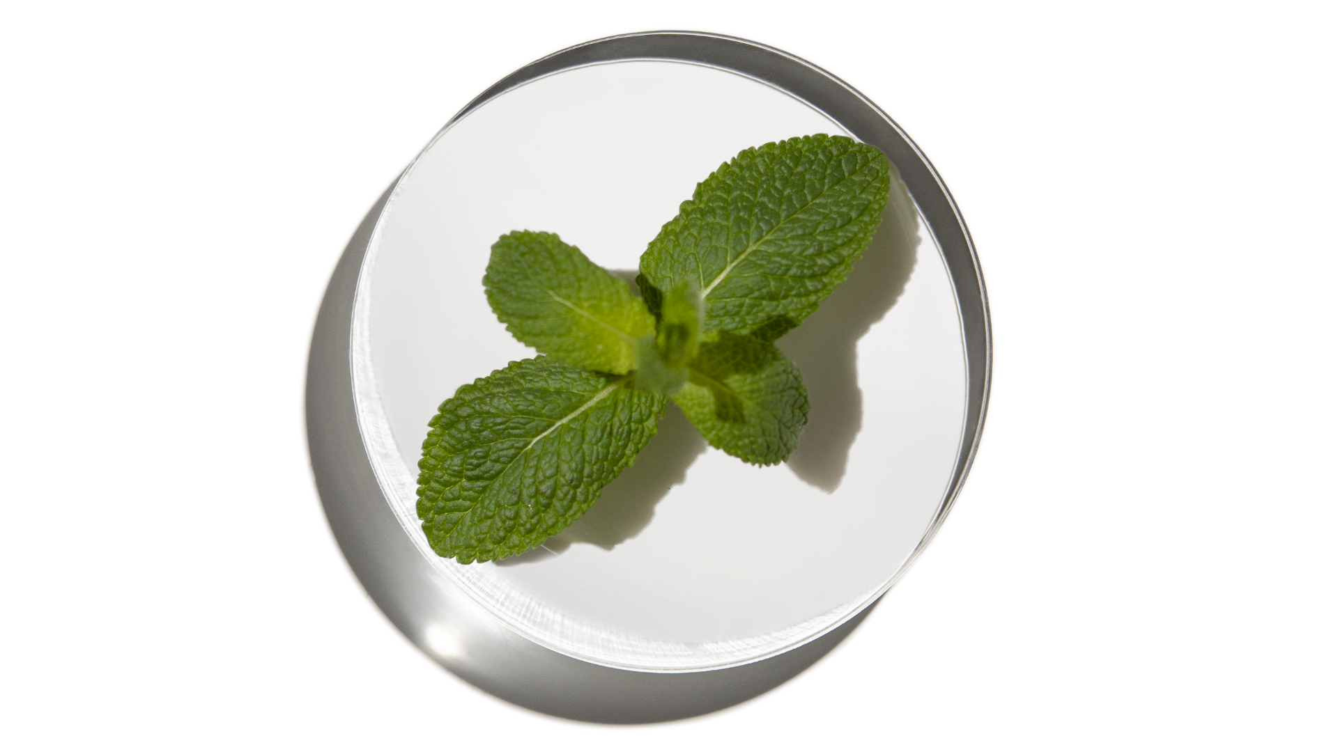 What is Peppermint?