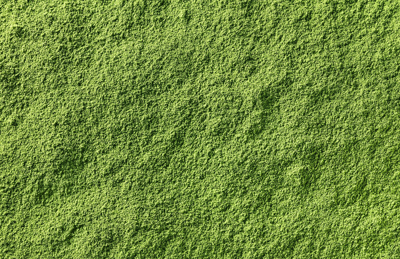 Texture sur la couleur verte de la Poudre Hyperprotéinée, à base d'algues et de plantes.
