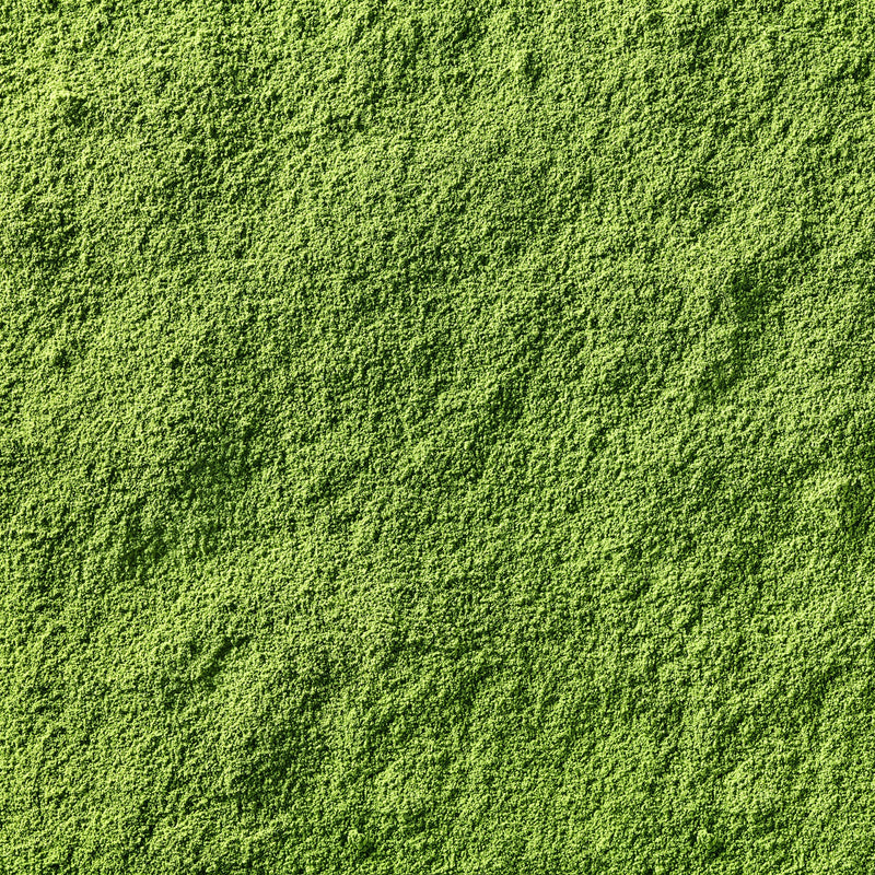 Zoom sur la poudre verte de la Poudre Hyperprotéinée.