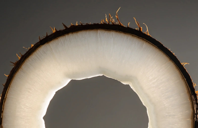 Zoom sur une noix de coco, ingrédient présent dans al formule du Soin Lèvres Absolu.