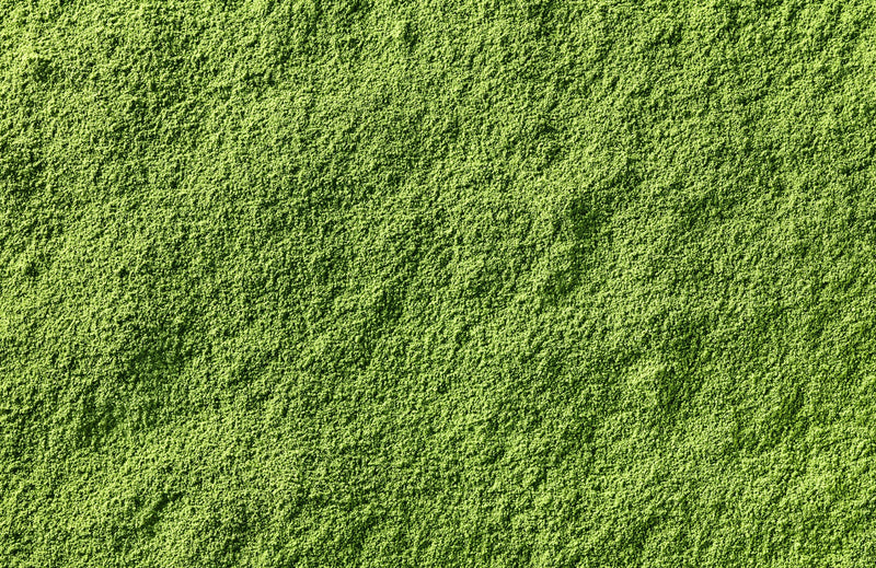 Zoom sur la texture et la couleur verte de la Poudre Hyperprotéinée.