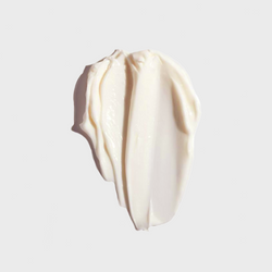 NOËL⎮LUZ COLLECTION x DAY+ BAUME